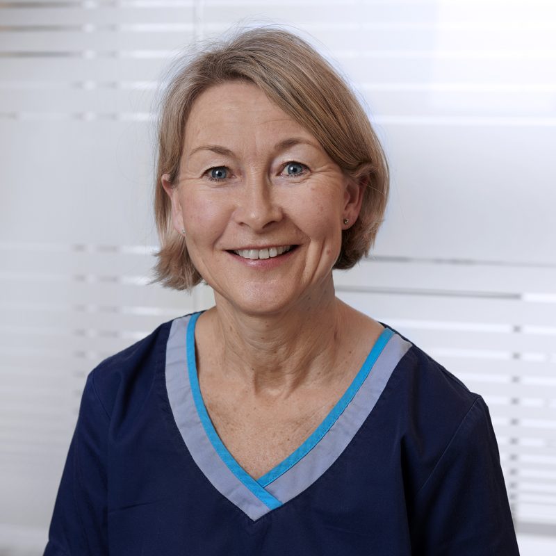 Anne Grevskott